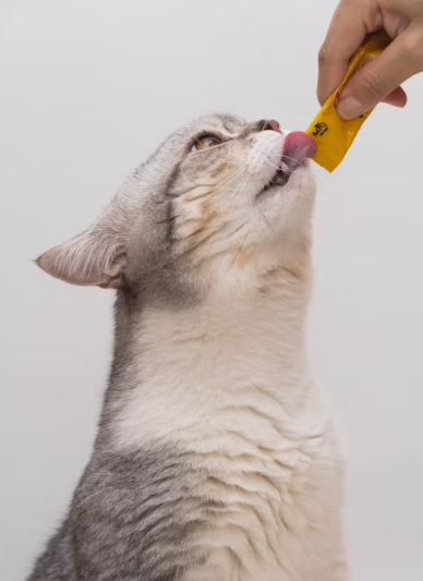 The 2025 Trend Every Cat Owner Is Talking About: High-Moisture Diets for Better Hydration