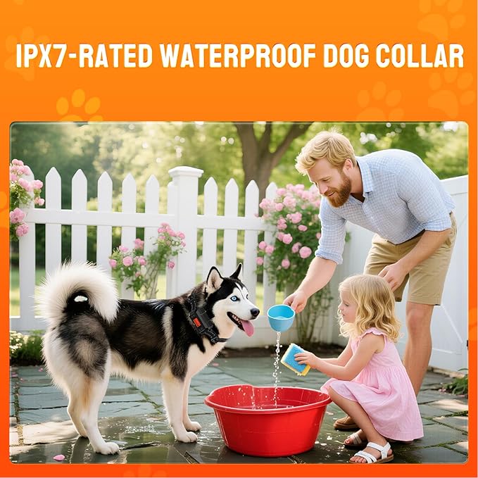 GPS Dog Collar Fence System. PetHey Wireless Dog Fence System, IPX7 Waterproof, 33–999 Yd Adjustable Boundary, Auto Memory Setting, Vibration & Shock Collar for Dogs, Dog Fencing Outdoor for Yard