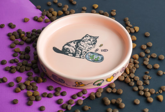 2025 U.S. Kitten & Cat Food Trends: Hydration, Taurine & Easy-Clean Gear