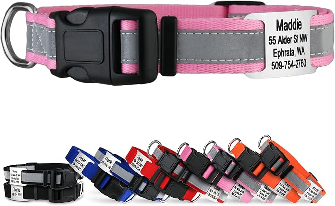 GoTags Reflective Personalized Dog Collar with Nameplate, Adjustable Dog Collar with Custom Engraved Steel Slide On Pet ID Tag, Silent, No Noise Dog Tag for Large Medium or Small (Pink, Large)