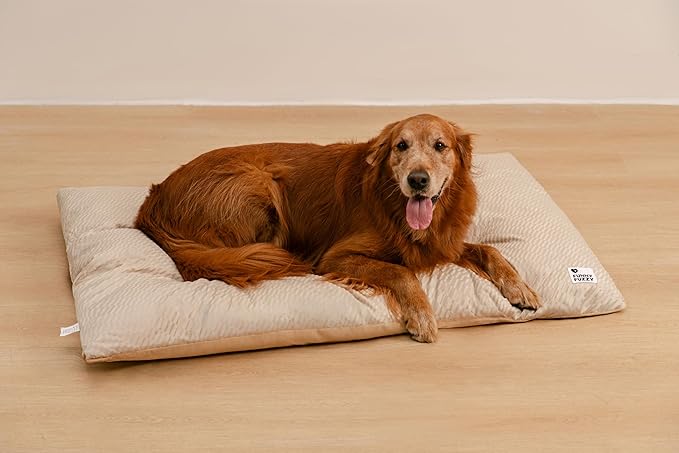 FUNNY FUZZY Washable Dog Bed,Reversible Plush Dog Crate Mat, Soft Fluffy Kennel Pad,Pet Sleeping Mattress for Jumbo,X-Large Sized Dogs Breeds,2XL,48"× 31",Beige