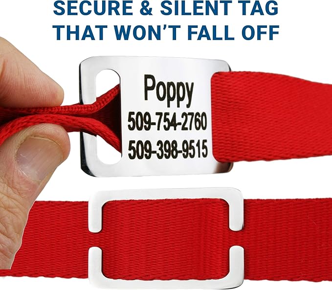 GoTags Personalized Dog Collar with Nameplate, Adjustable Dog Collar with Custom Engraved Slide On Pet ID Tag in Stainless Steel, Silent, No Noise Dog Tag for Large Medium and Small (Red, Large)
