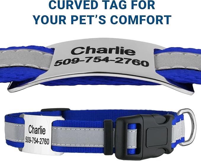 GoTags Reflective Personalized Dog Collar with Nameplate, Adjustable Dog Collar with Custom Engraved Steel Slide On Pet ID Tag, Silent, No Noise Dog Tag for Large Medium or Small (Blue, Large)