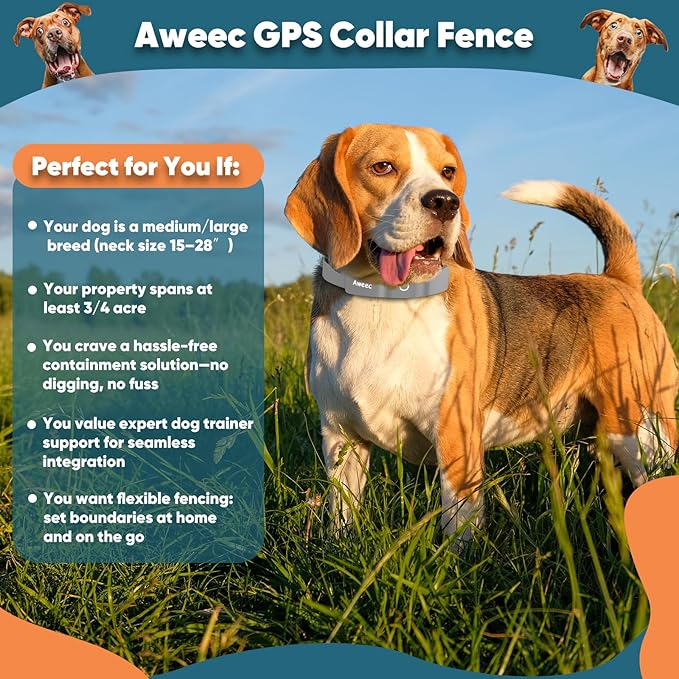 GPS Electric Dog Fence with Free App, Wireless Fence System with Training Collar, Portable Fence for Outdoor Use, Rechargeable Waterproof Flexiable Collar, Adjustable of Dogs (Grey)