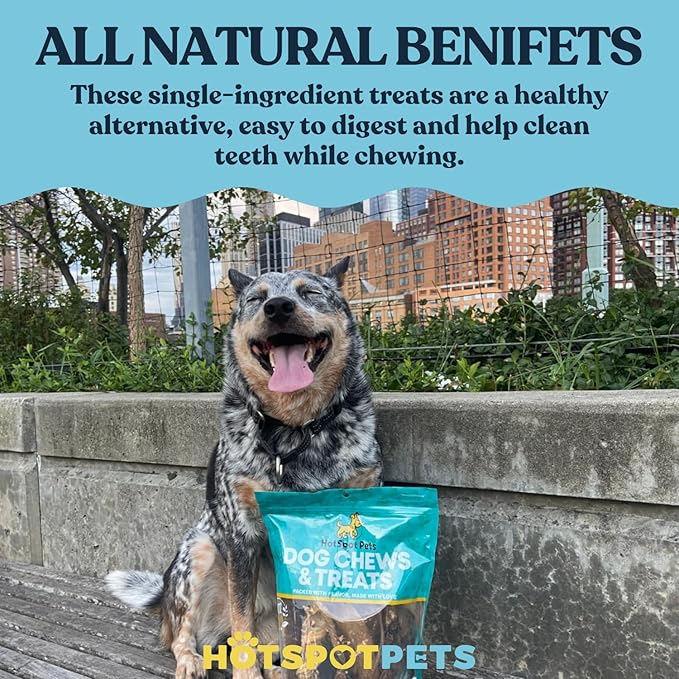 Full-Size Cow Hooves for Dogs | (50 Pack) All-Natural Long Lasting Dog Chews | Made from Grass Fed Cattle | Tasty Treat for Oral Hygiene | Fantastic Alternative for Rawhide and Bully Sticks