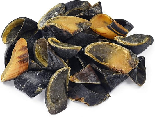 Full-Size Cow Hooves for Dogs (25 Pack) | All-Natural Long Lasting Dog Chews | Made from Grass Fed Cattle | Tasty Treat for Oral Hygiene | Fantastic Alternative for Rawhide and Bully Sticks