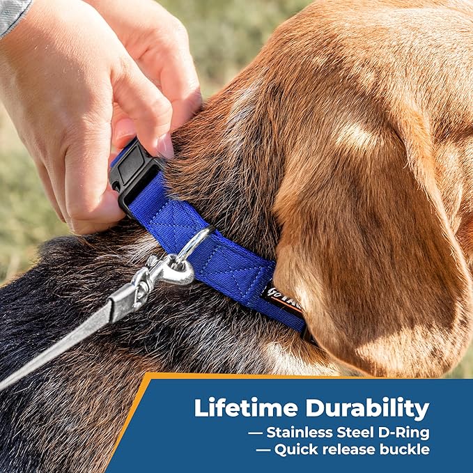 GoTags Personalized Dog Collar, Custom Embroidered with Pet Name and Phone Number in Blue, Black, Pink, Red and Orange, for Boy and Girl Dogs or Cats, Adjustable Sizes, Small, Medium, and Large